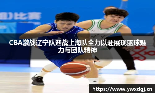 CBA激战辽宁队迎战上海队全力以赴展现篮球魅力与团队精神