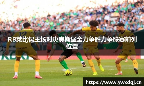 XC网页版入口